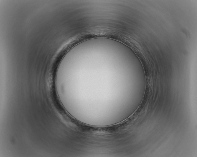 X0000113340400200909151010