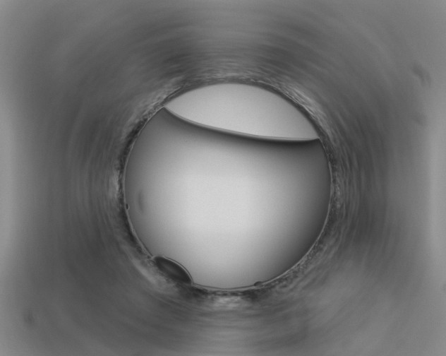 X0000113340401200909151010