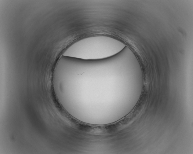 X0000113340402200909151010