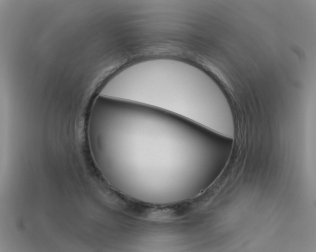 X0000113340403200909151010