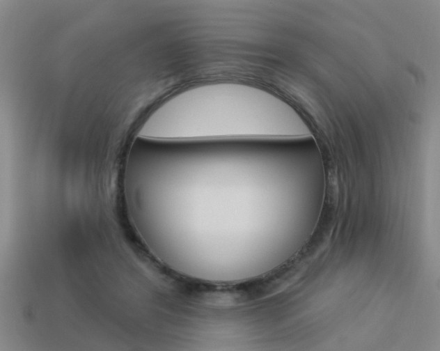X0000113340404200909151010