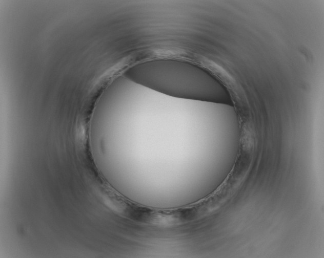 X0000113340405200909151010