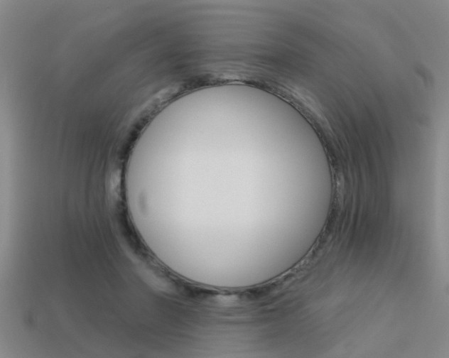 X0000113340406200909151010