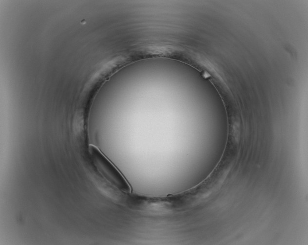 X0000113340407200909151010