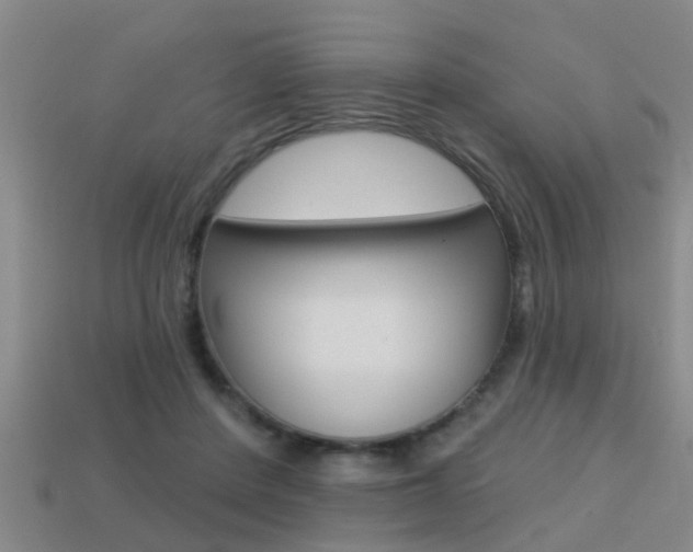 X0000113340408200909151010
