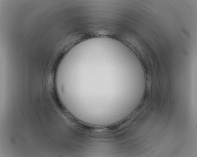 X0000113340410200909151010
