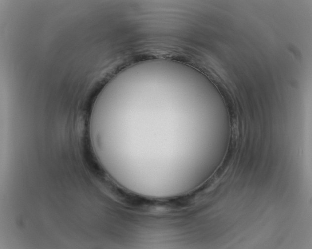 X0000113340412200909151010