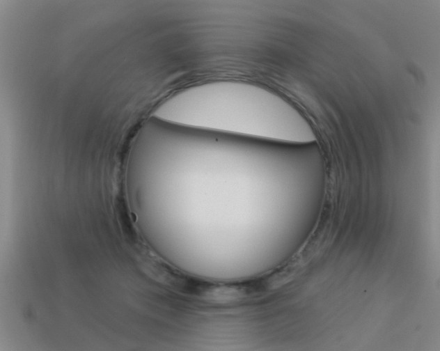 X0000113340413200909151010