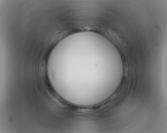 X0000113340414200909151010