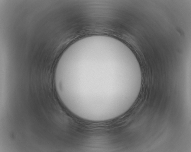 X0000113340415200909151010