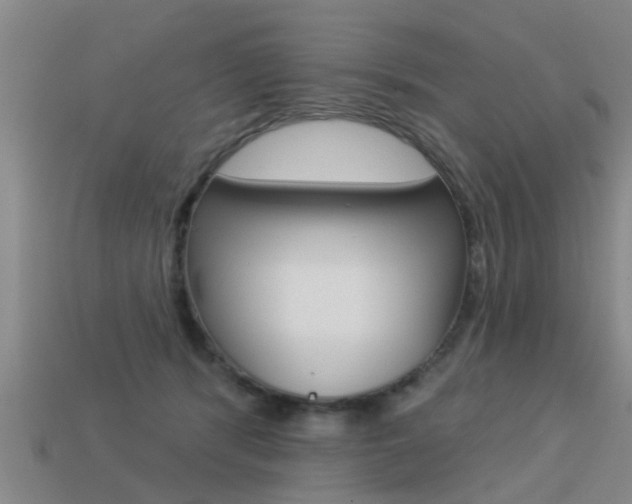 X0000113340416200909151010