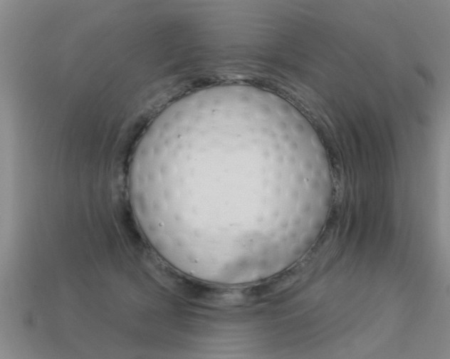 X0000113340418200909151010