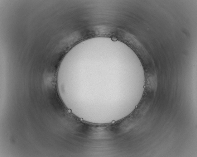 X0000113340419200909151010