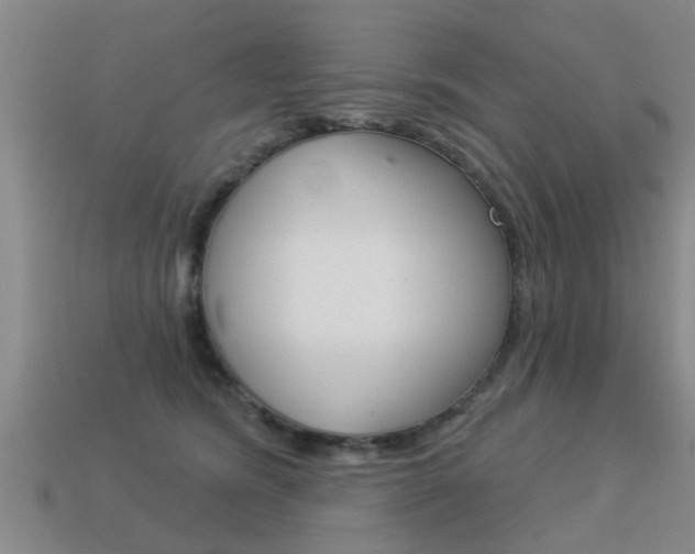 X0000113340420200909151009
