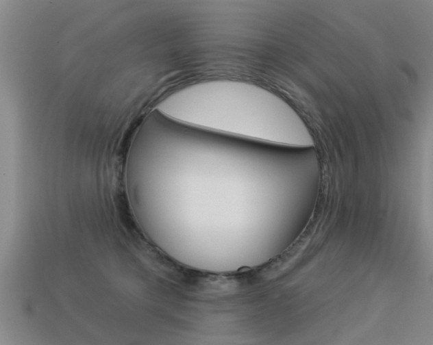 X0000113340421200909151009