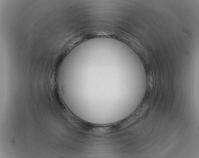 X0000113340422200909151009