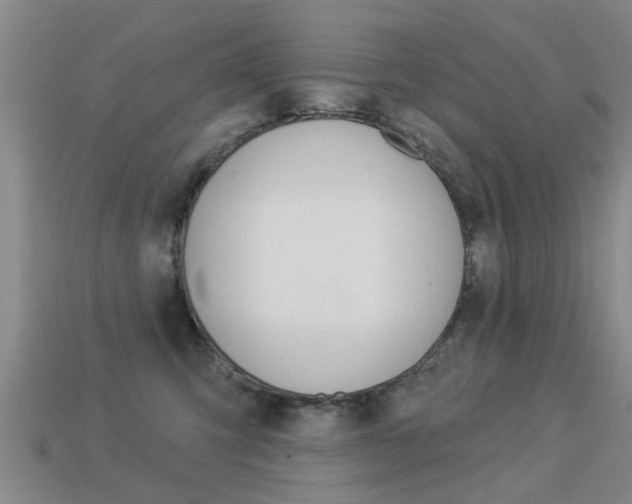X0000113340423200909151009