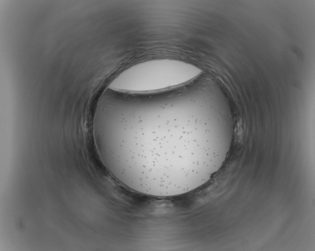X0000113340424200909151009