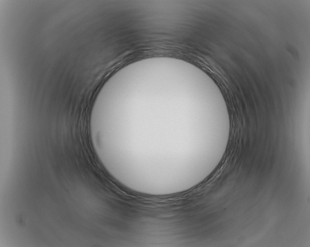 X0000113340425200909151009