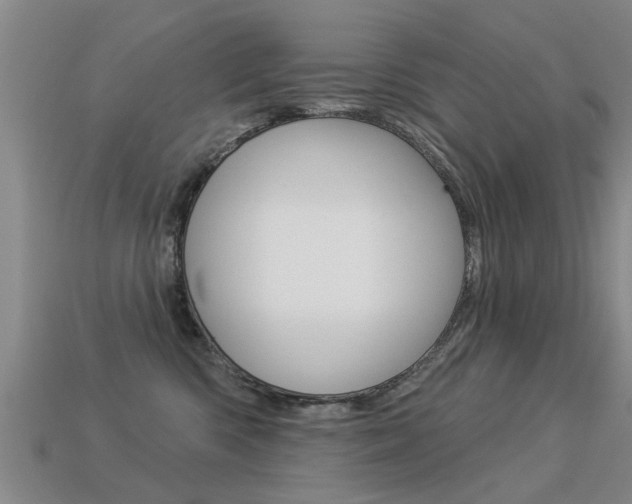 X0000113340426200909151009