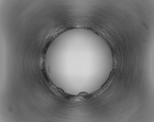 X0000113340427200909151009