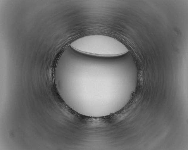 X0000113340428200909151009