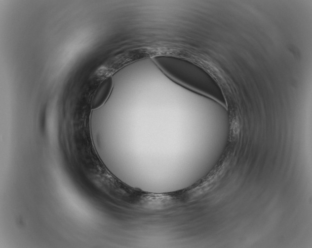 X0000113340429200909151009