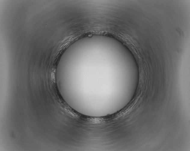 X0000113340432200909151009