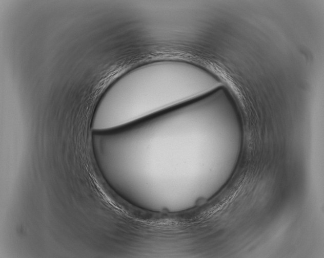 X0000113340433200909151009