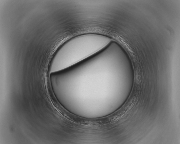 X0000113340434200909151009