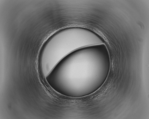 X0000113340436200909151009