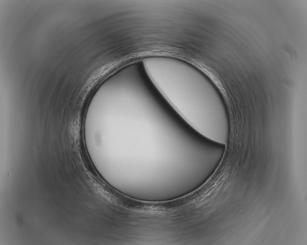 X0000113340437200909151009