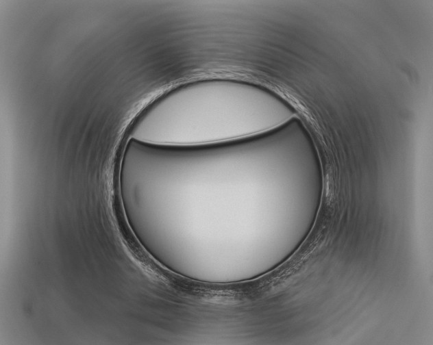 X0000113340438200909151009