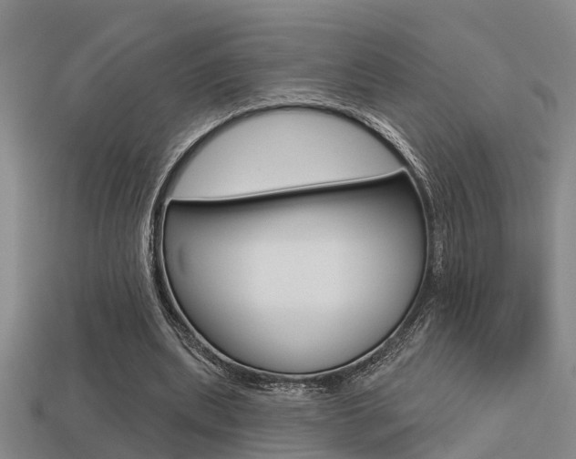 X0000113340439200909151009