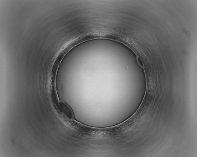 X0000113340440200909151009