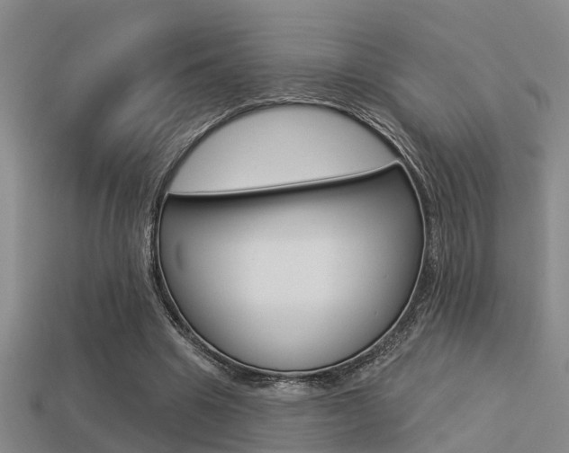 X0000113340441200909151009