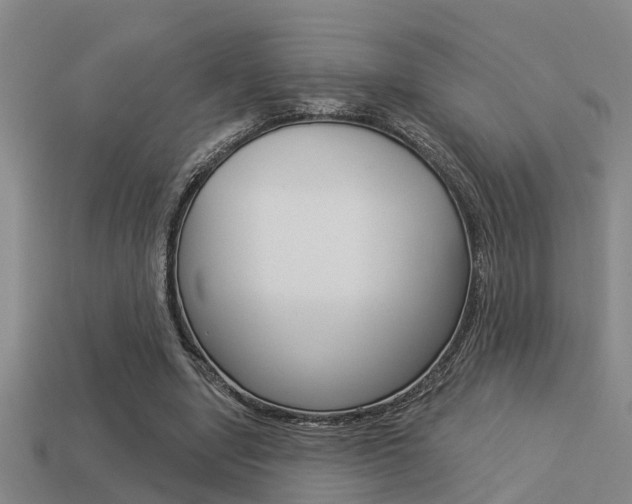 X0000113340442200909151009