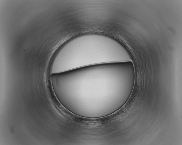 X0000113340443200909151009