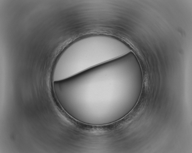 X0000113340445200909151009