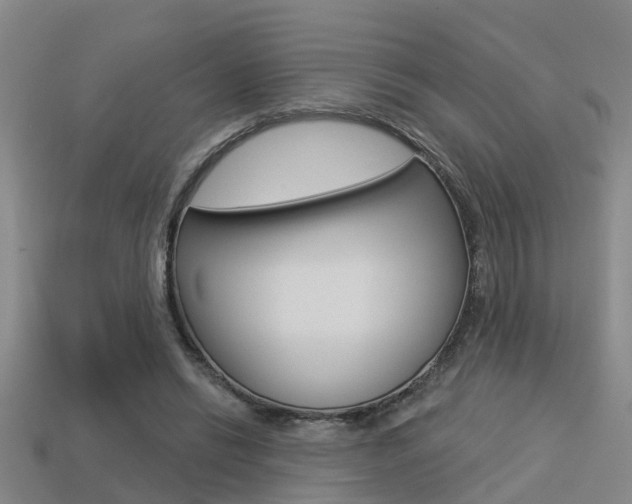 X0000113340446200909151009