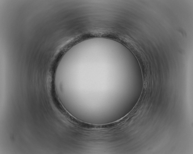 X0000113340448200909151009
