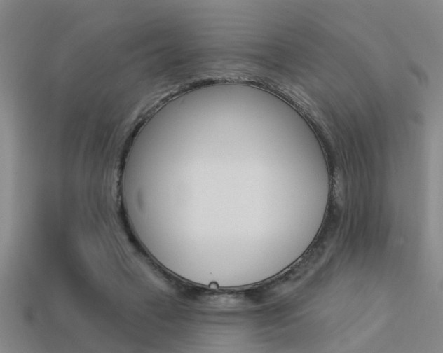 X0000113340449200909151009