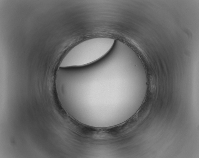 X0000113340451200909151009