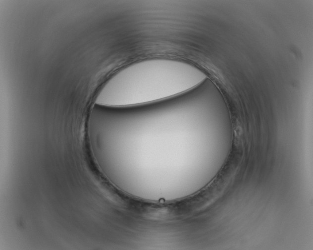 X0000113340454200909151009