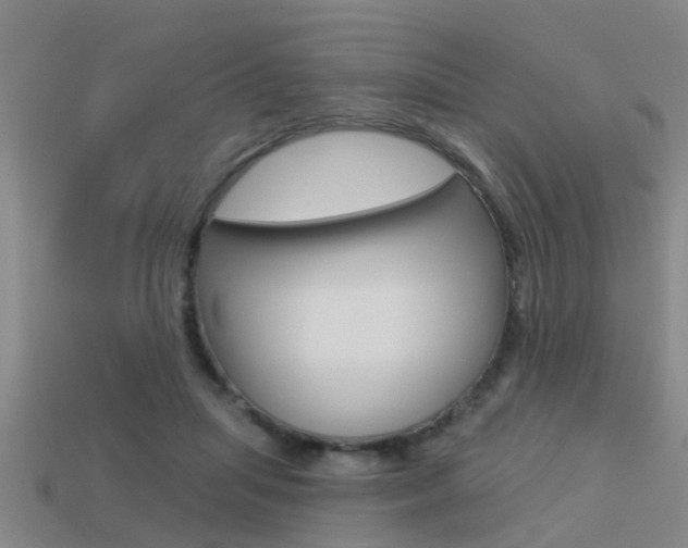 X0000113340455200909151009