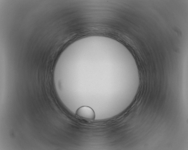 X0000113340456200909151009
