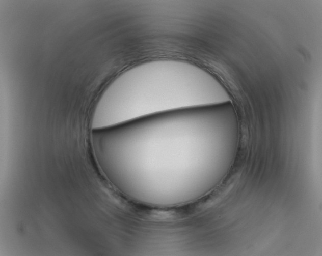 X0000113340457200909151009