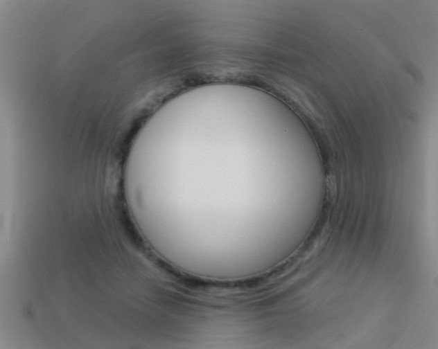 X0000113340458200909151009
