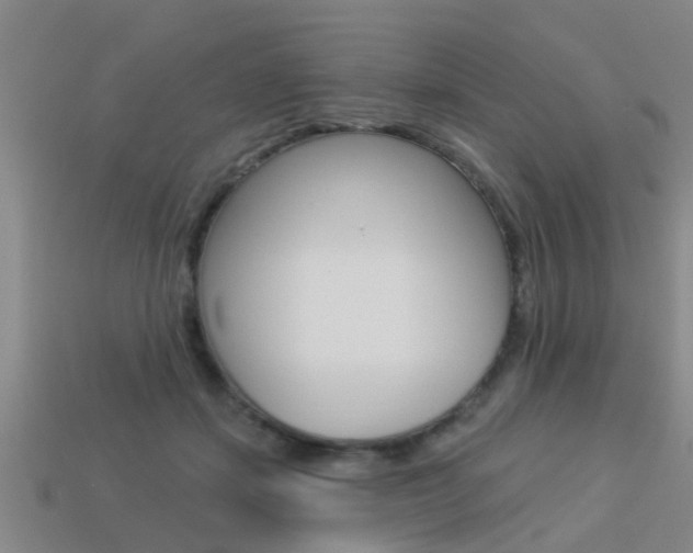 X0000113340459200909151009