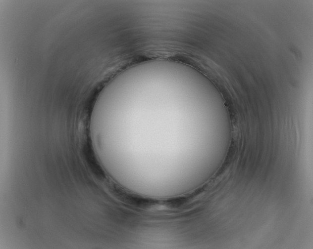 X0000113340460200909151009